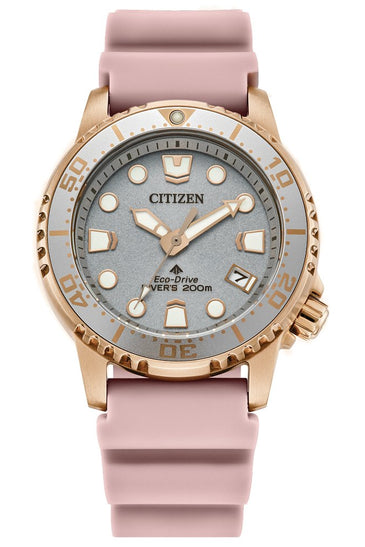 Citizen Eco-Drive EO2023-00A Ladies' Watch