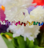 Sterling Silver Rainbow CZ Necklace