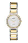 Seiko SUP434 Women's Watch