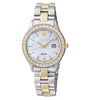 Pearl dial two-tone stainless steel solar watch