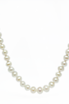 14kt YG Freshwater Pearl Strand