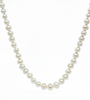 14kt YG Freshwater Pearl Strand